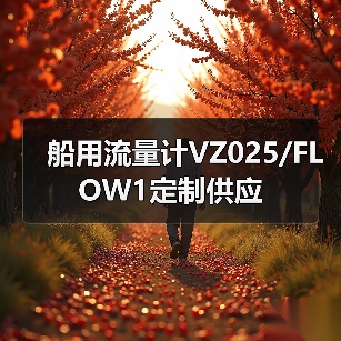 船用流量计VZ025/FLOW1定制供应(图1) 船用流量计VZ025/FLOW1定制供应(图1)