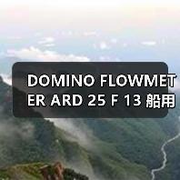 DOMINO FLOWMETER ARD 25 F 13 船用流量计定制厂家(图1) DOMINO FLOWMETER ARD 25 F 13 船用流量计定制厂家(图1)