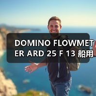 DOMINO FLOWMETER ARD 25 F 13 船用流量计定制厂家(图3) DOMINO FLOWMETER ARD 25 F 13 船用流量计定制厂家(图3)