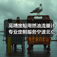 高精度船用燃油流量计专业定制服务宁波北仑明润(图3) 高精度船用燃油流量计专业定制服务宁波北仑明润(图3)