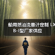船用燃油流量计定制 LXB-I型厂家供应(图3) 船用燃油流量计定制 LXB-I型厂家供应(图3)