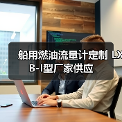船用燃油流量计定制 LXB-I型厂家供应(图4) 船用燃油流量计定制 LXB-I型厂家供应(图4)