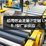 船用燃油流量计定制 LXB-I型厂家供应(图1) 船用燃油流量计定制 LXB-I型厂家供应(图1)