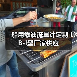 船用燃油流量计定制 LXB-I型厂家供应(图2) 船用燃油流量计定制 LXB-I型厂家供应(图2)