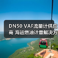 DN50 VAF流量计供应商 海运燃油计量解决方案(图3) DN50 VAF流量计供应商 海运燃油计量解决方案(图3)
