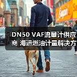 DN50 VAF流量计供应商 海运燃油计量解决方案(图4) DN50 VAF流量计供应商 海运燃油计量解决方案(图4)