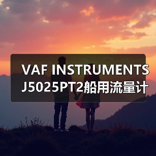 VAF INSTRUMENTS J5025PT2船用流量计供应商 李工13336686138(图3) VAF INSTRUMENTS J5025PT2船用流量计供应商 李工13336686138(图3)