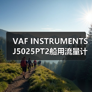 VAF INSTRUMENTS J5025PT2船用流量计供应商 李工13336686138(图1) VAF INSTRUMENTS J5025PT2船用流量计供应商 李工13336686138(图1)