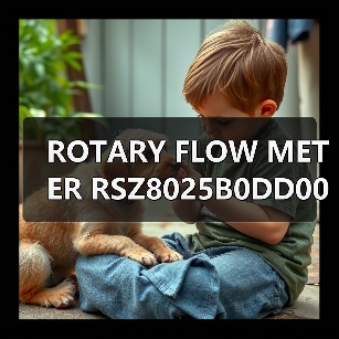 ROTARY FLOW METER RSZ8025B0DD001020F 船用流量计定制 李工13336686138(图3) ROTARY FLOW METER RSZ8025B0DD001020F 船用流量计定制 李工13336686138(图3)