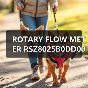 ROTARY FLOW METER RSZ8025B0DD001020F 船用流量计定制 李工13336686138(图2) ROTARY FLOW METER RSZ8025B0DD001020F 船用流量计定制 李工13336686138(图2)