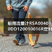 船用流量计RSA0040B0DD120010016R定制供应(图1) 船用流量计RSA0040B0DD120010016R定制供应(图1)