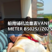 船用辅机流量表VANE METER B5025/JZ025N(图4) 船用辅机流量表VANE METER B5025/JZ025N(图4)