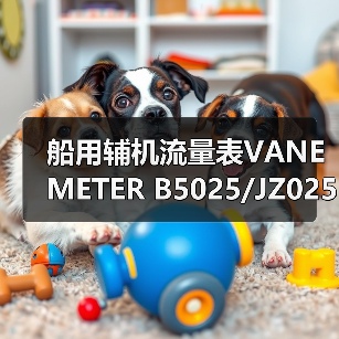 船用辅机流量表VANE METER B5025/JZ025N(图1) 船用辅机流量表VANE METER B5025/JZ025N(图1)