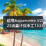 船用Aquametro VZF-25流量计找李工13336686138(图2) 船用Aquametro VZF-25流量计找李工13336686138(图2)
