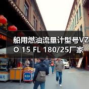 船用燃油流量计型号VZO 15 FL 180/25厂家直供,李工13336686138(图1) 船用燃油流量计型号VZO 15 FL 180/25厂家直供,李工13336686138(图1)