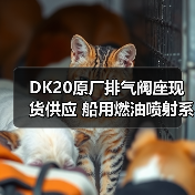 DK20原厂排气阀座现货供应 船用燃油喷射系统配件齐全(图4) DK20原厂排气阀座现货供应 船用燃油喷射系统配件齐全(图4)