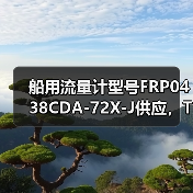 船用流量计型号FRP0438CDA-72X-J供应,TOKICO技术公司直销,李工13336686138(图1) 船用流量计型号FRP0438CDA-72X-J供应,TOKICO技术公司直销,李工13336686138(图1)