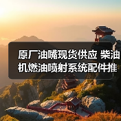 原厂油嘴现货供应 柴油机燃油喷射系统配件推荐（图2）