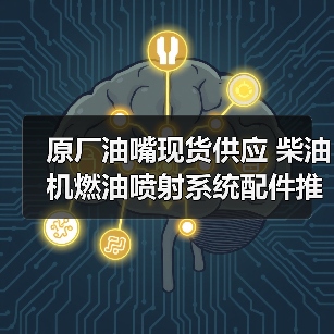 原厂油嘴现货供应 柴油机燃油喷射系统配件推荐（图4）