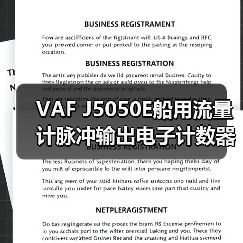 VAF J5050E船用流量计脉冲输出电子计数器定制（图2）