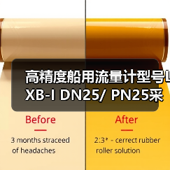 高精度船用流量计型号LXB-I DN25/ PN25采购指南 | 联系李工13336686138（图3）