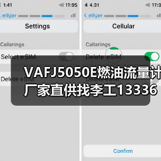VAFJ5050E燃油流量计厂家直供找李工13336686138（图3）