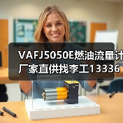 VAFJ5050E燃油流量计厂家直供找李工13336686138（图2）