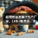 船用燃油流量计生产厂家,LXB-I型直供,李工13336686138(图4) 船用燃油流量计生产厂家,LXB-I型直供,李工13336686138(图4)