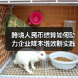 跨境人民币结算如何助力企业降本增效？-玄熵FS城梓船舶部件中