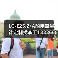 LC-E25.2/A船用流量计定制找李工13336686138（图2）