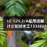 LC-E25.2/A船用流量计定制找李工13336686138（图3）