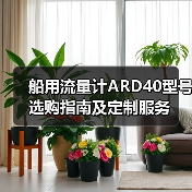 船用流量计ARD40型号选购指南及定制服务（图4）