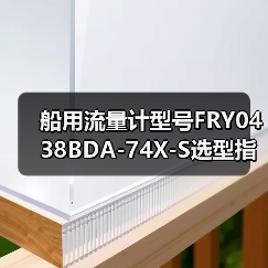 船用流量计型号FRY0438BDA-74X-S选型指南（图3）