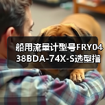 船用流量计型号FRY0438BDA-74X-S选型指南（图4）