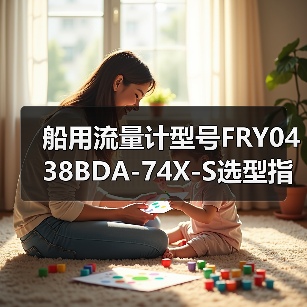 船用流量计型号FRY0438BDA-74X-S选型指南（图2）
