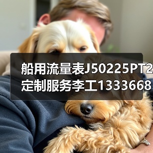 船用流量表J50225PT2定制服务李工13336686138（图4）