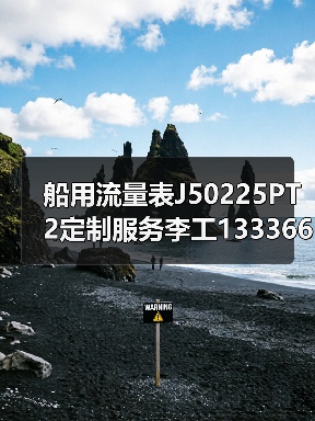 船用流量表J50225PT2定制服务李工13336686138（图1）