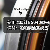 船用流量计B5040型号详解：船舶燃油系统应用（图1）