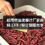 船用燃油流量计厂家直销 LXB-I型定制服务李工13336686138(图1) 船用燃油流量计厂家直销 LXB-I型定制服务李工13336686138(图1)