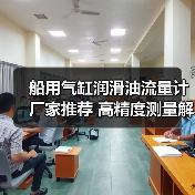 船用气缸润滑油流量计厂家推荐 高精度测量解决方案（图1）