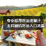 专业船用燃油流量计,主机辅机燃油入口流量计厂家直销(图2) 专业船用燃油流量计,主机辅机燃油入口流量计厂家直销(图2)
