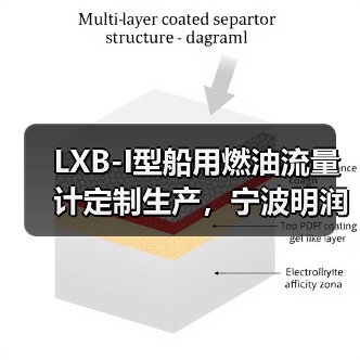 LXB-I型船用燃油流量计定制生产，宁波明润公司供应（图1）