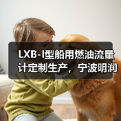 LXB-I型船用燃油流量计定制生产，宁波明润公司供应（图2）