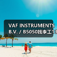 VAF INSTRUMENTS B.V. / B5050找李工13336686138（图1）