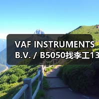VAF INSTRUMENTS B.V. / B5050找李工13336686138（图4）