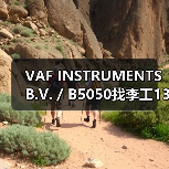 VAF INSTRUMENTS B.V. / B5050找李工13336686138（图3）