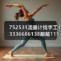 752531流量计找李工13336686138邮箱1154428321@qq.com（图1）