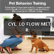CYL. LO FLOW METER(图3) CYL. LO FLOW METER(图3)