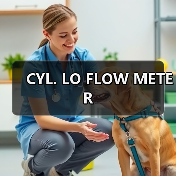 CYL. LO FLOW METER(图1) CYL. LO FLOW METER(图1)