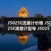 J5025E流量计价格 J5025E流量计型号 J5025E流量计批发找李工13336686138（图1）